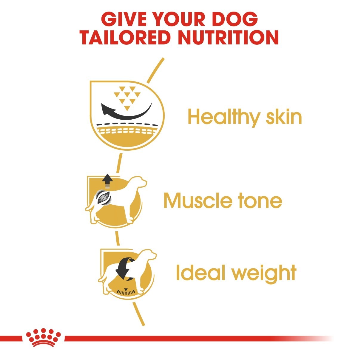 Diagram showing benefits of tailored dog nutrition with icons and text on a white background.