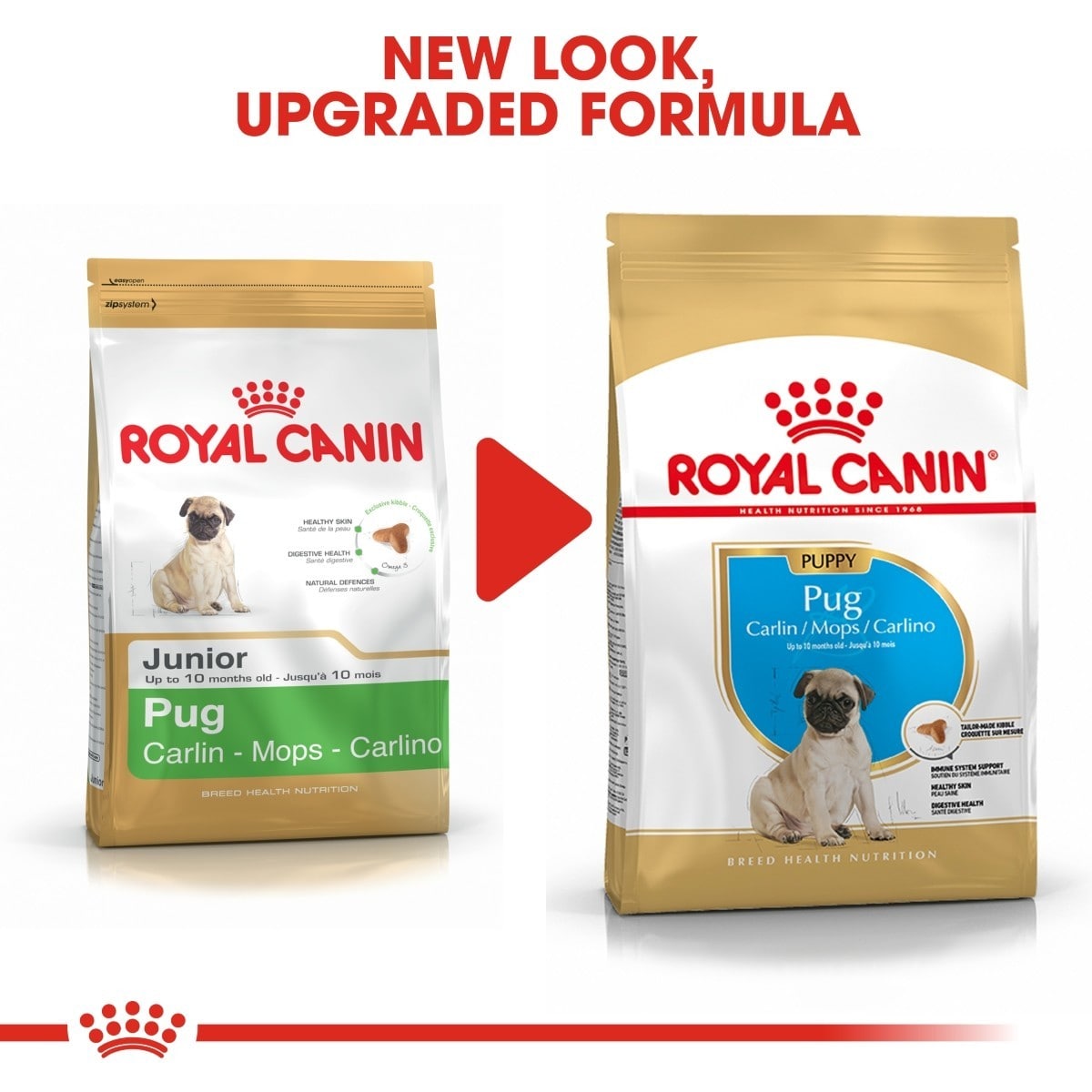 Two packages of Royal Canin Pug dog food with text indicating a new look and upgraded formula.