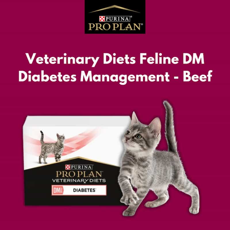 purina diabetic cat food purina pro plan dm diabetes