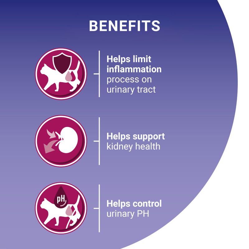 Cat health support formula