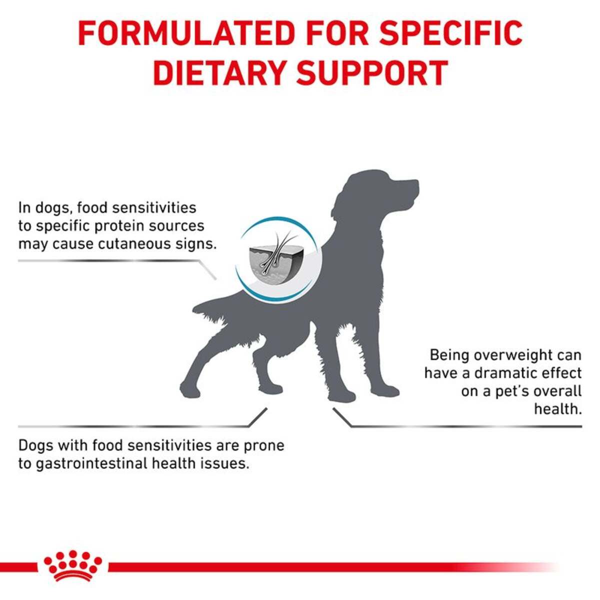 Dog food label with text about dietary support for dogs, including protein sensitivity and weight management.