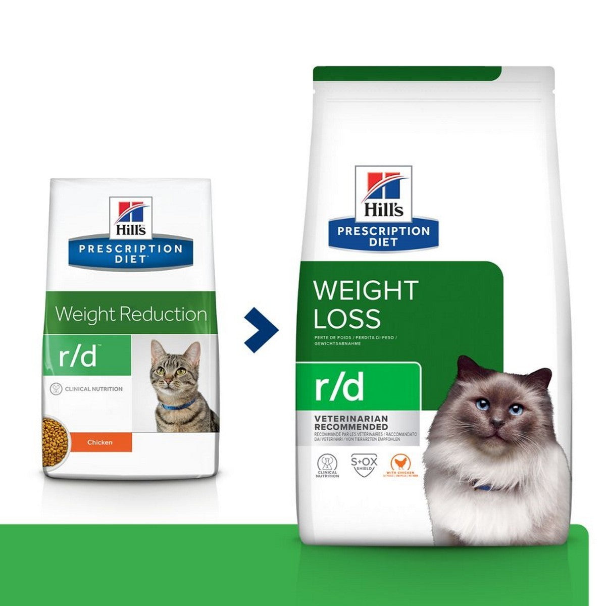 Dry food for cats