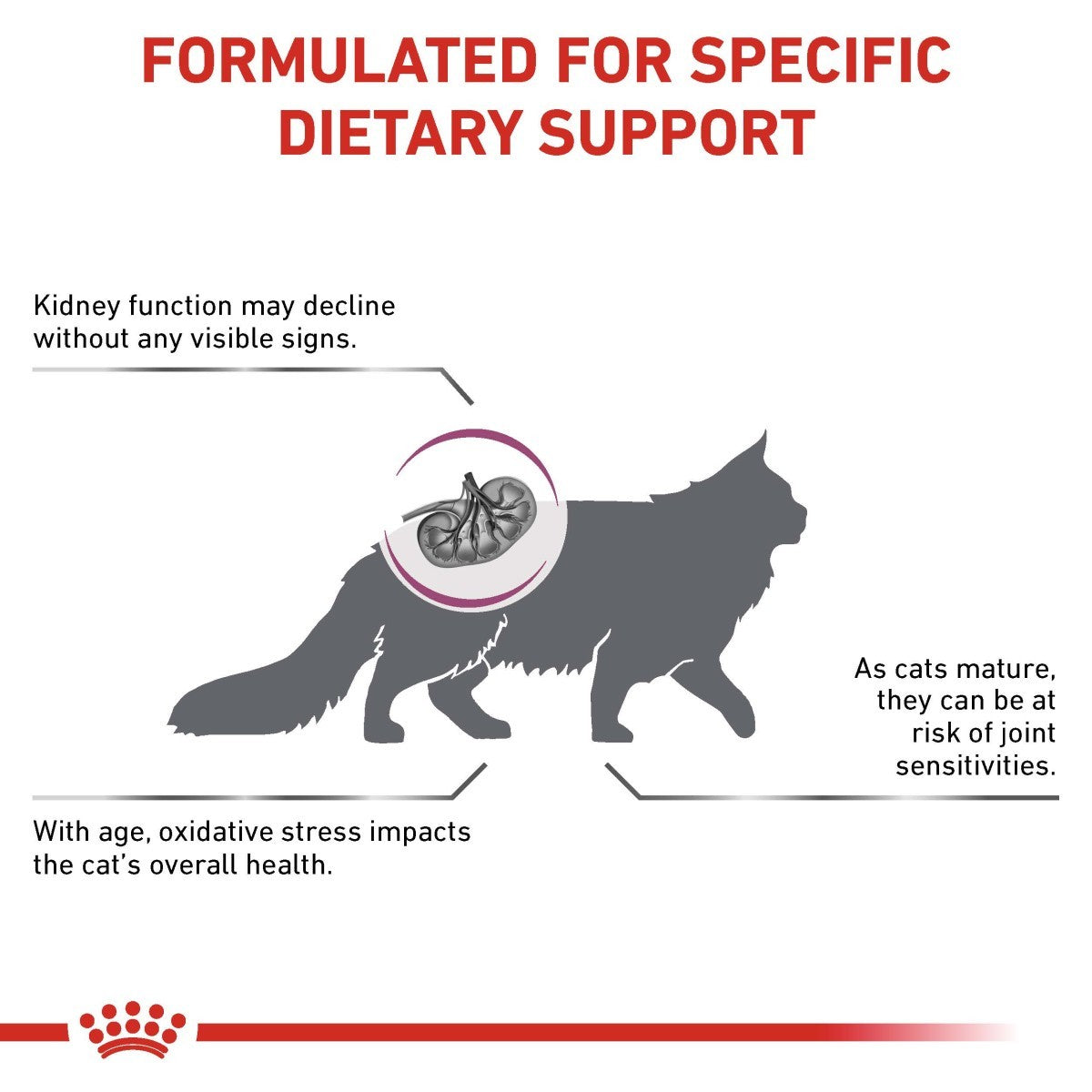 Cat diagram with text about dietary support for cats' health, featuring a red and white background.