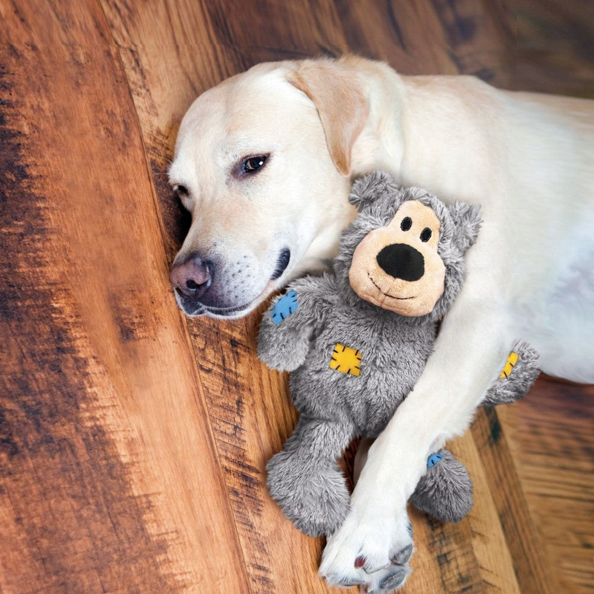 Dog holding a plush toy on a wooden floor