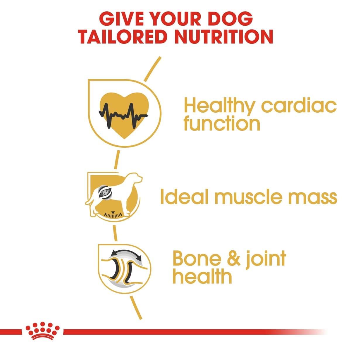 Dog food brand advertisement highlighting tailored nutrition for dogs with icons and text on a white background.