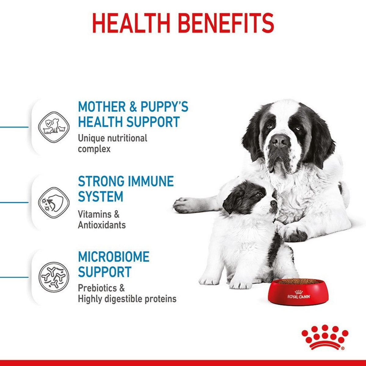 Advertisement for Royal Canin dog food with a Saint Bernard and puppy, highlighting health benefits.