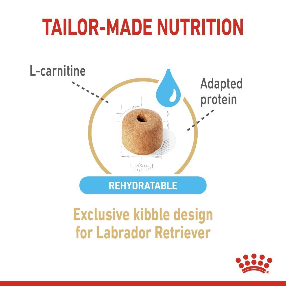 Dog food packaging with text about tailor-made nutrition, L-carnitine, adapted protein, rehydratable kibble design, and exclusive for Labrador Retrievers.