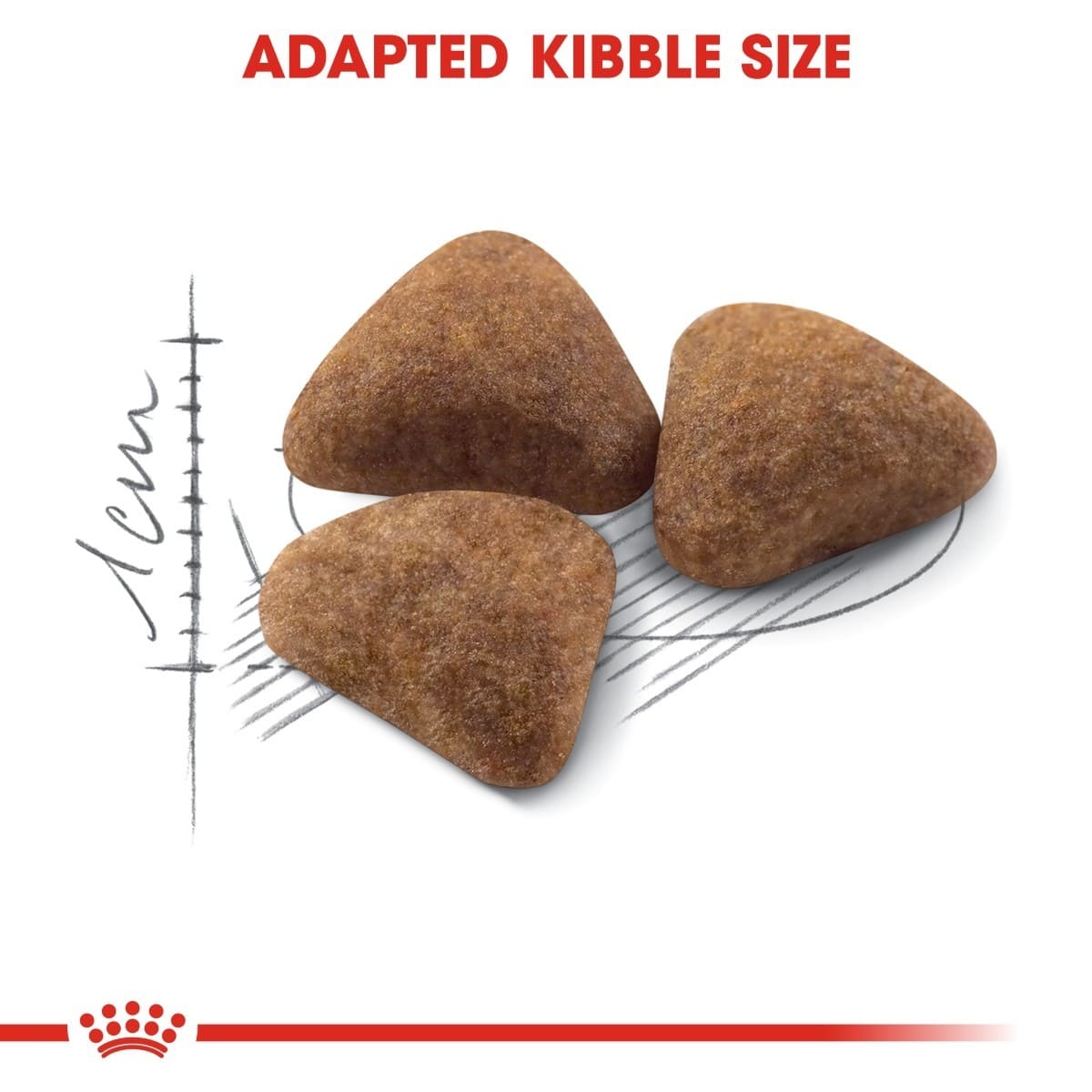 Three pieces of adapted kibble size with a measuring scale and Royal Canin logo.