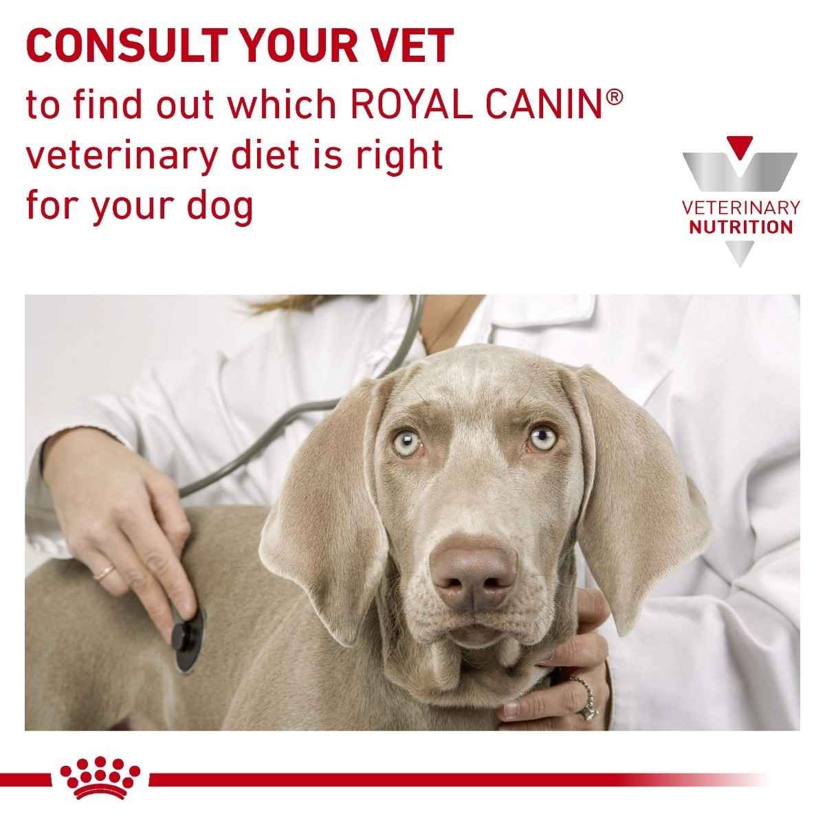 Dog being examined by a vet with Royal Canin Veterinary Diet branding.
