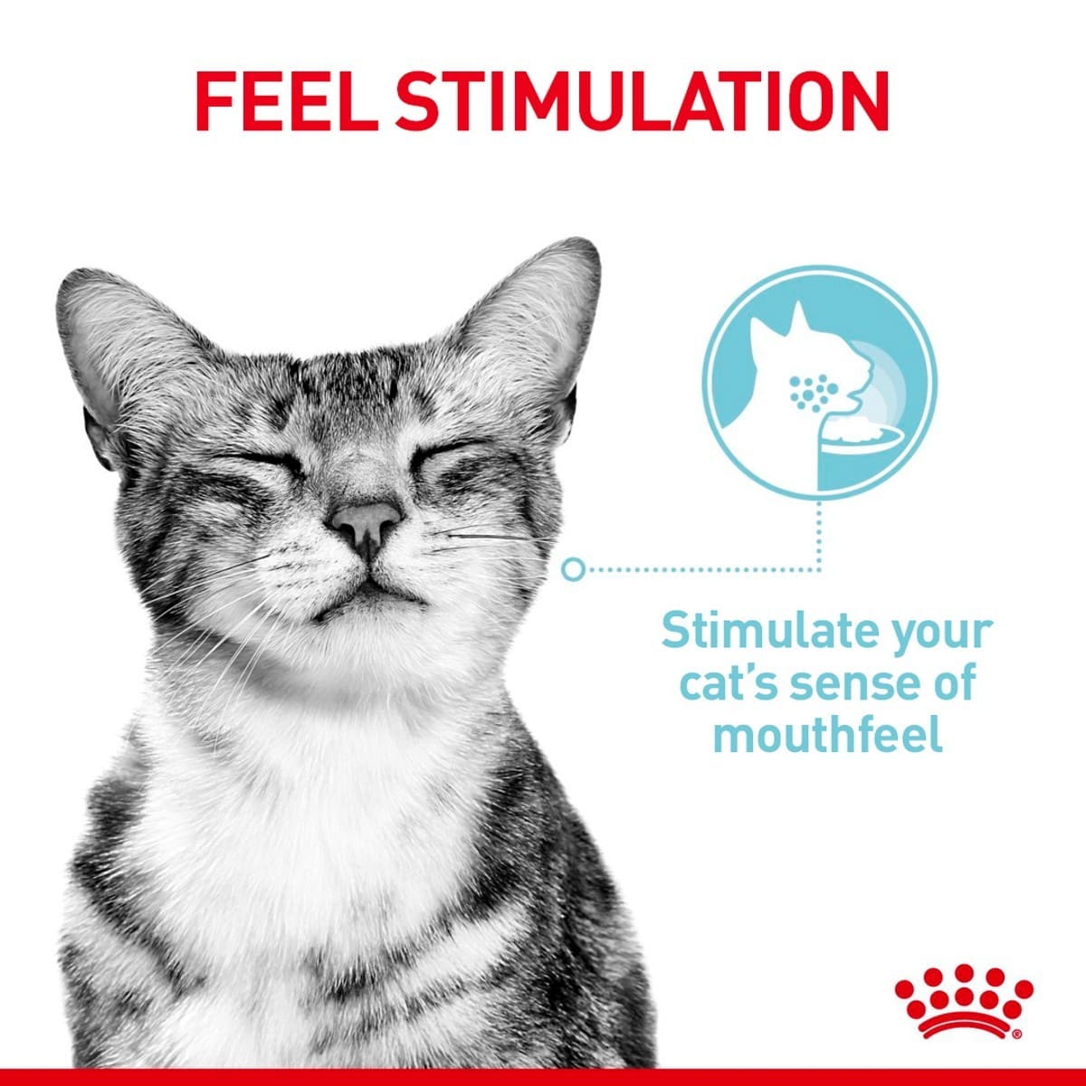 Cat with closed eyes and text about stimulating a cat's sense of mouthfeel, with a brand logo at the bottom.