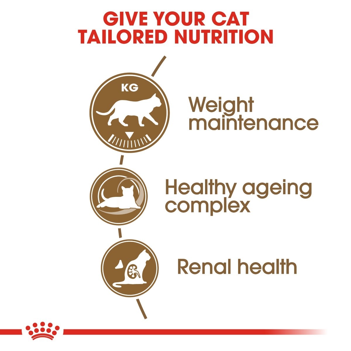 Cat nutrition chart with weight maintenance, healthy ageing complex, and renal health sections on a white background.