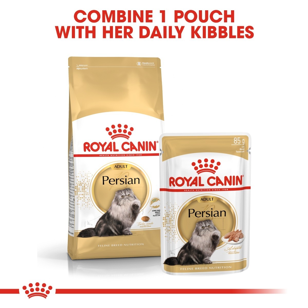 Two Royal Canin Persian cat food packages on a white background with text.