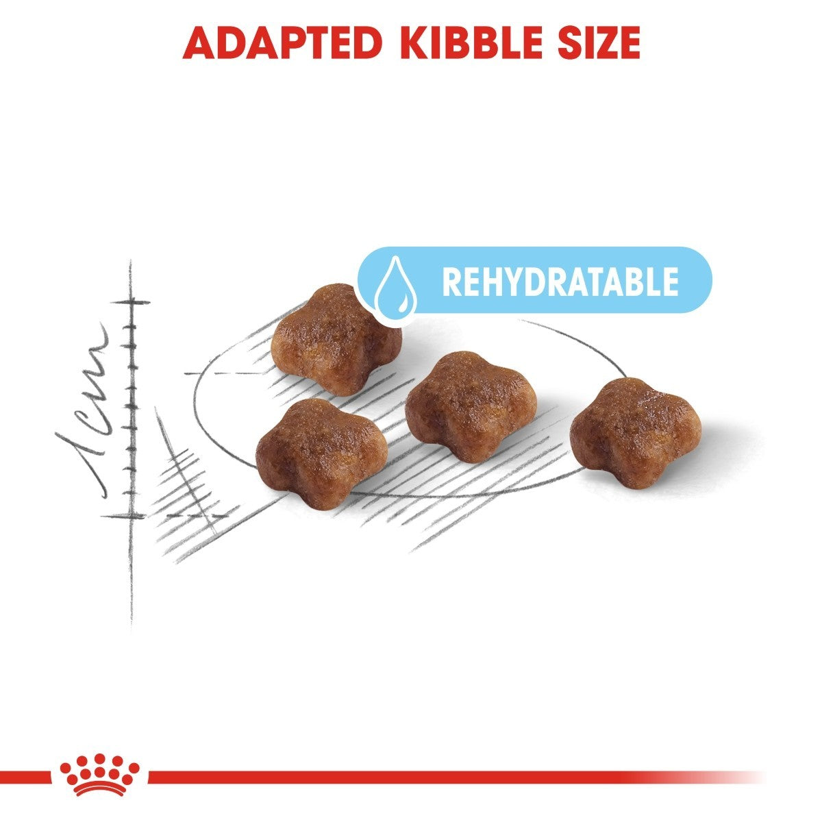 Cat food kibble with measurement scale and text indicating 'Adapted Kibble Size' and 'Rehydratable'.