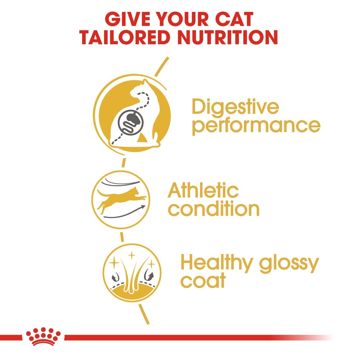 Diagram showing benefits of tailored cat nutrition with icons and text on a white background.