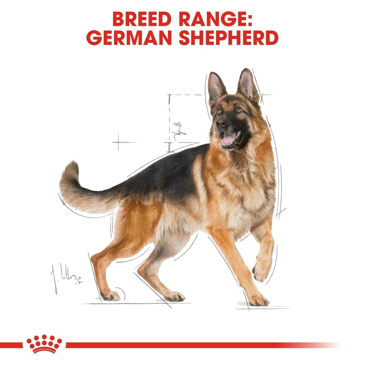 Cardboard cutout of a German Shepherd with brand logo at the bottom.