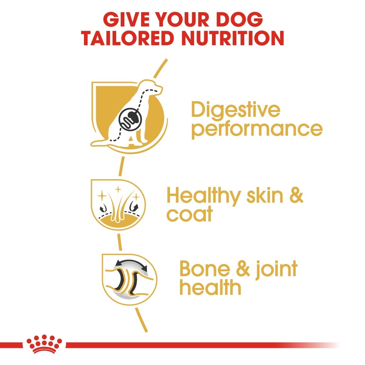 Dog food brand advertisement highlighting tailored nutrition for dogs with icons and text on a white background.