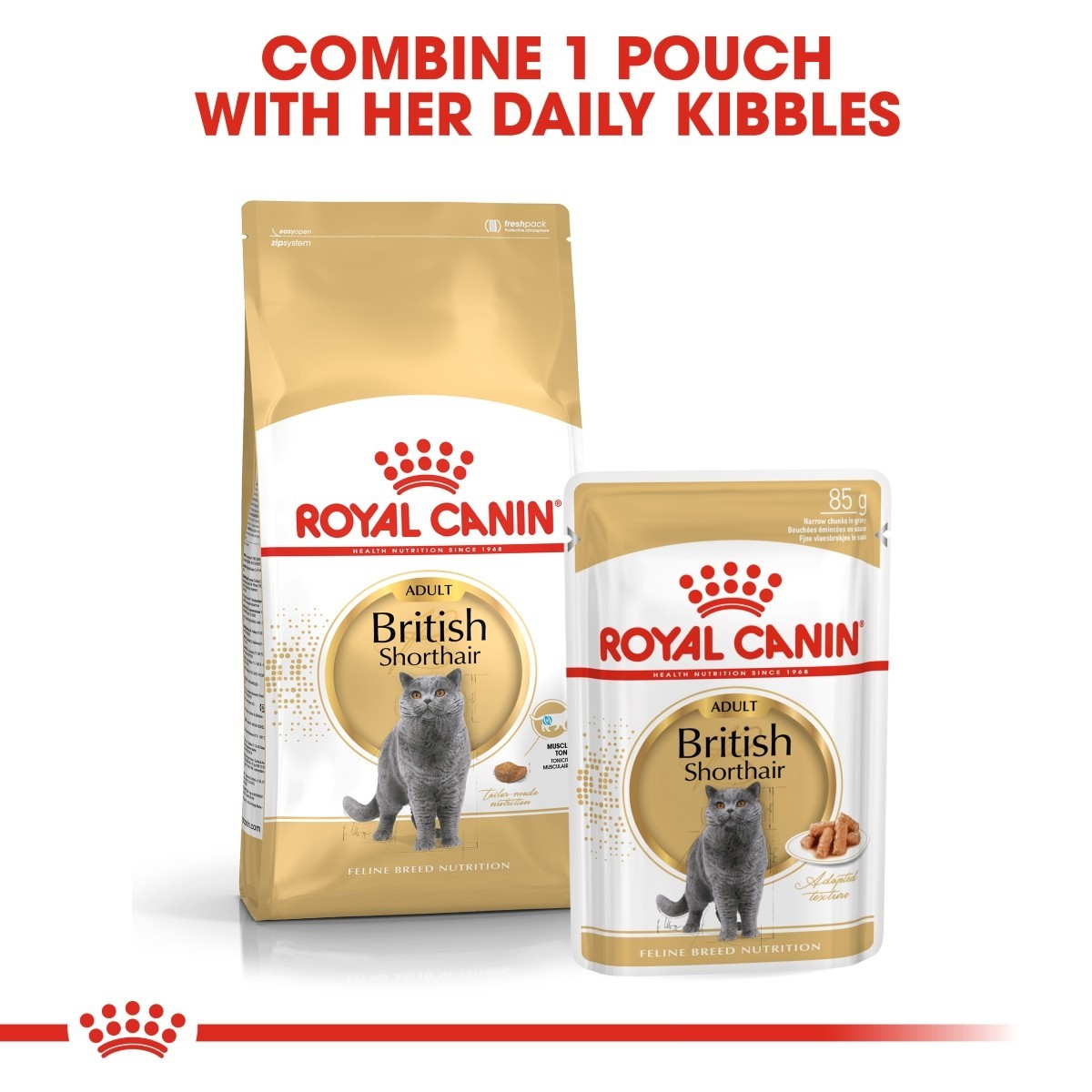 Two Royal Canin British Shorthair cat food packages on a white background with text.