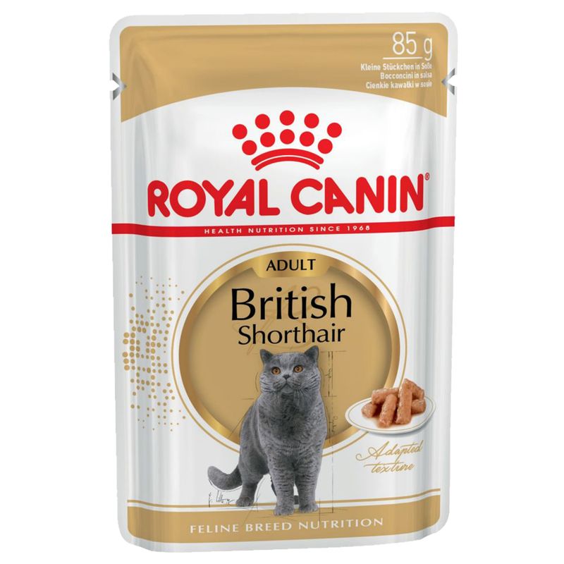 Royal Canin British Shorthair cat food pouch on a white background