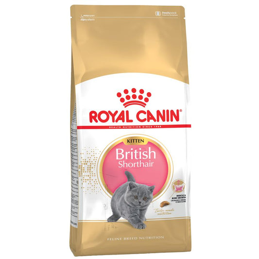Royal Canin Kitten British Shorthair cat food package on a white background
