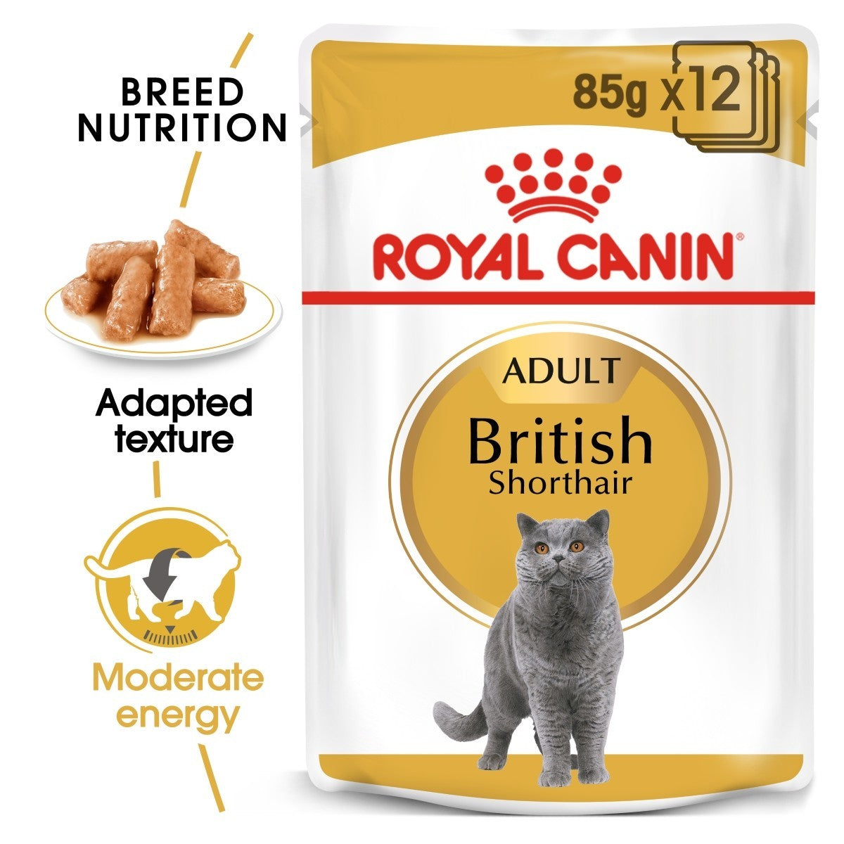 Royal Canin Adult British Shorthair cat food package on a white background
