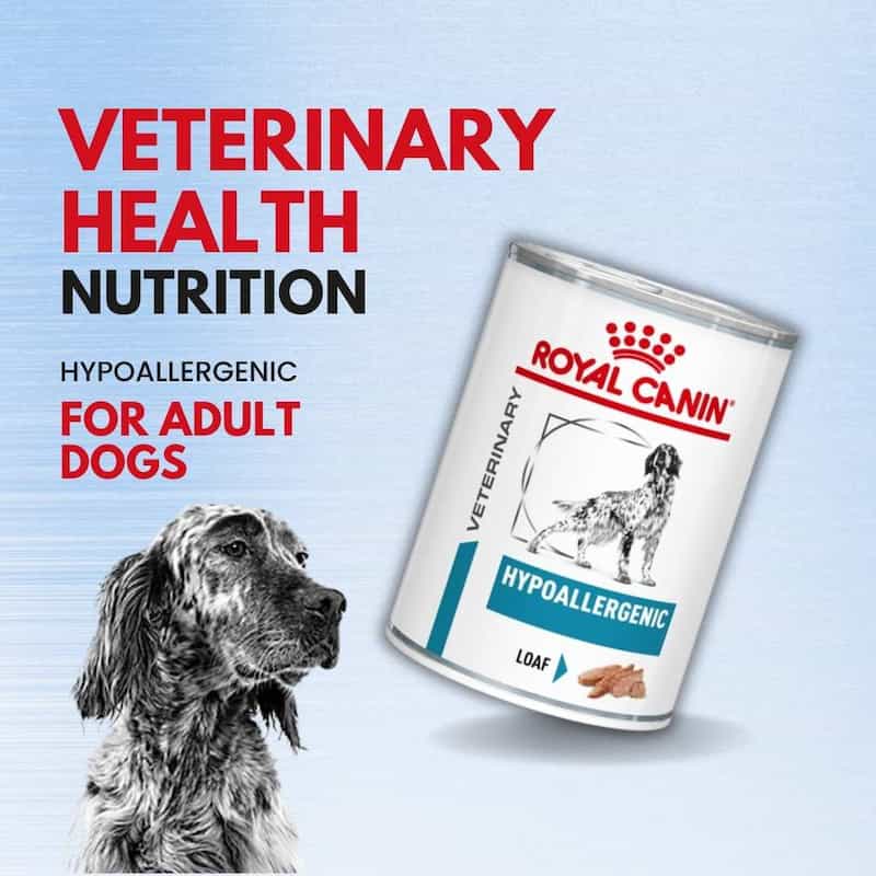 This amazing veterinary diet uses tiny