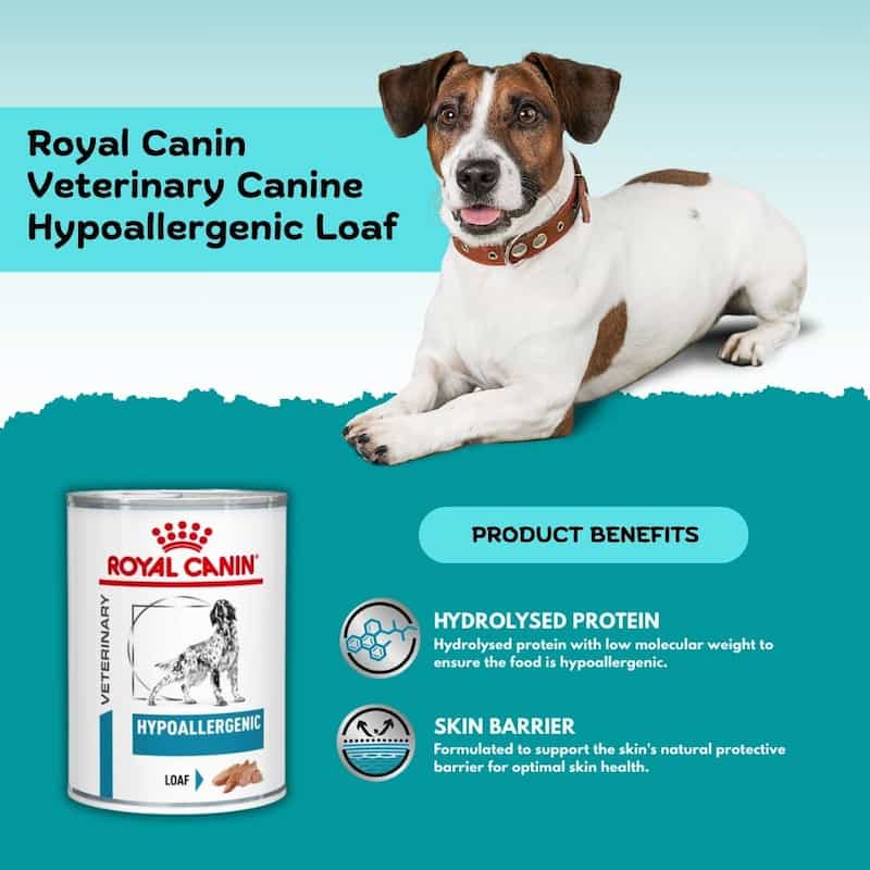 Watch your pup's skin get naturally stronger
