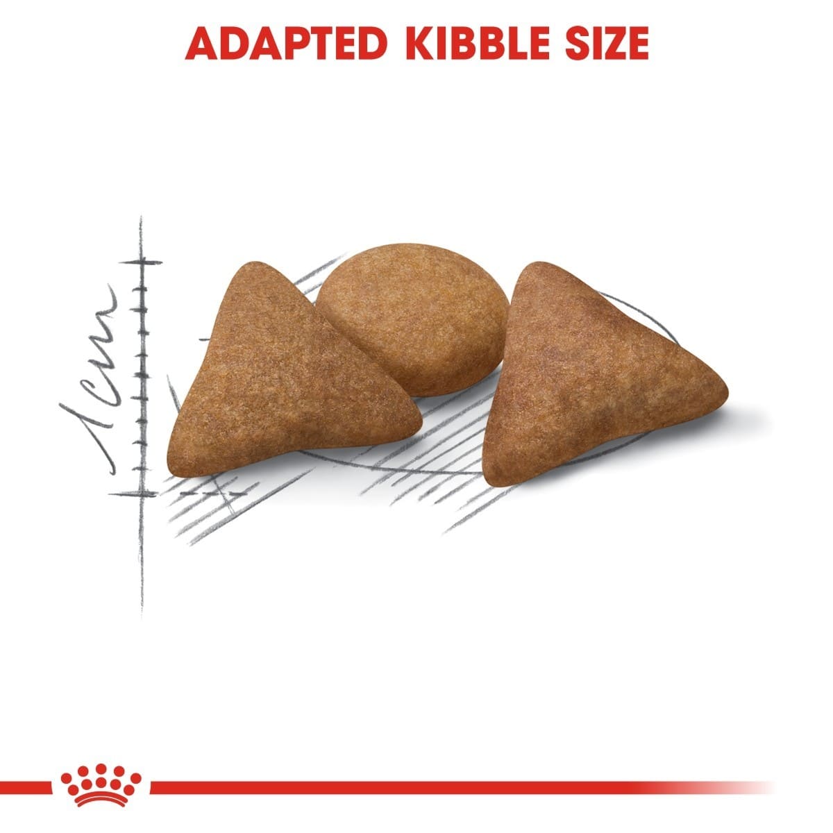 Three brown kibble pieces with a measurement scale and a brand logo on a white background.