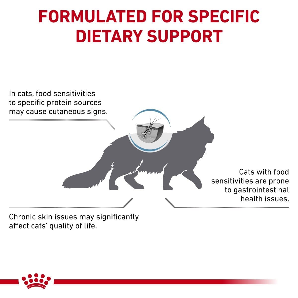 Diagram explaining dietary support for cats with food sensitivities, featuring a cat silhouette and text.