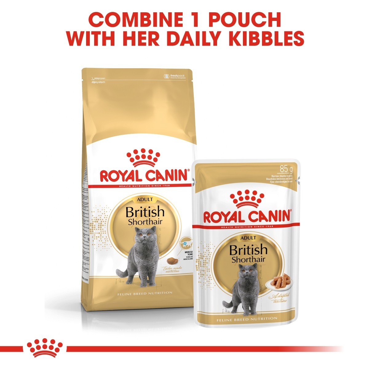 Royal Canin British Shorthair cat food packaging on a white background