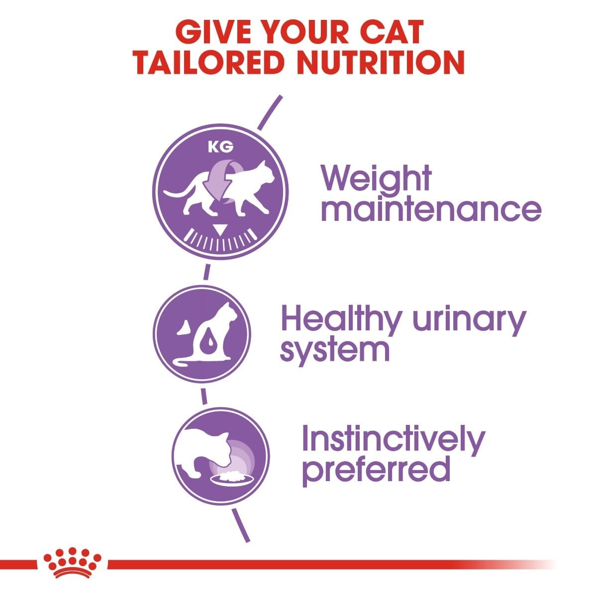 Diagram of cat nutrition needs with icons and text on a white background