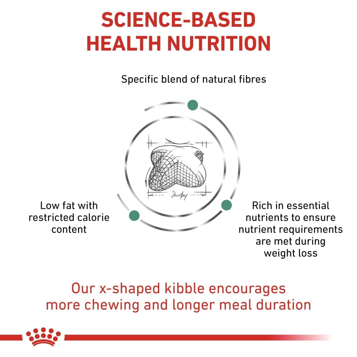 Science-based health nutrition label for a product with text and a diagram of a cat's digestive system.