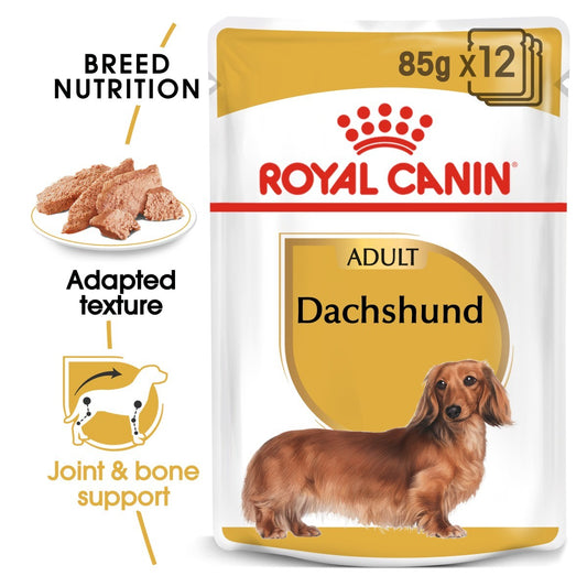 Royal Canin Dachshund wet dog food package on a white background