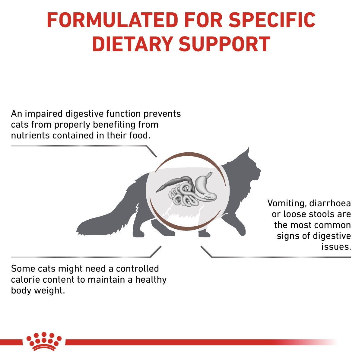 Cat dietary support information with text and a cat icon on a white background.