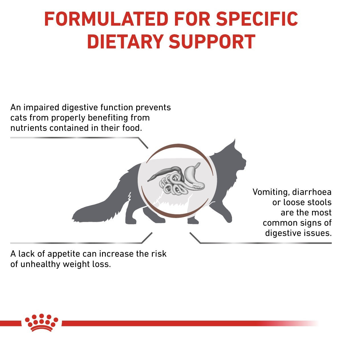 Cat dietary support information with text and a magnifying glass icon.