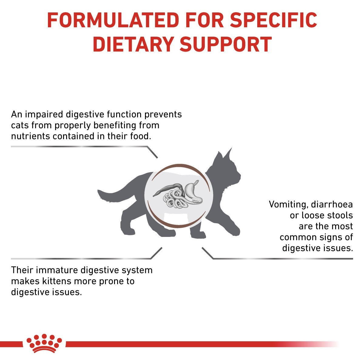 Cat dietary support information with text and a cat icon on a white background.