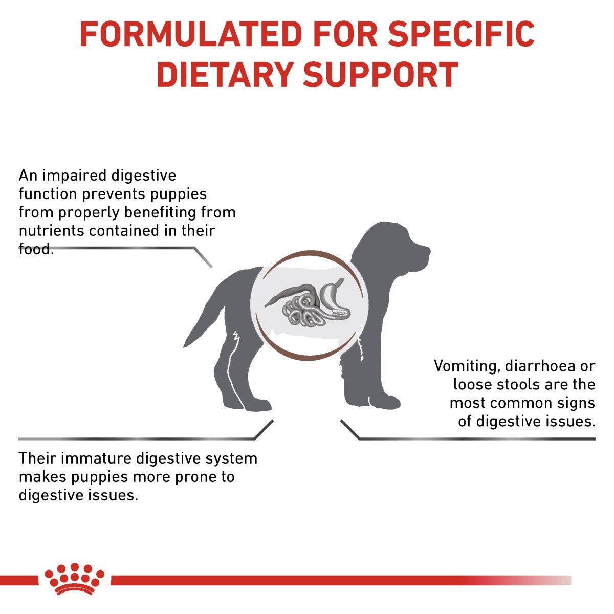 Diagram explaining dietary support for puppies with digestive issues, featuring a dog icon and text.