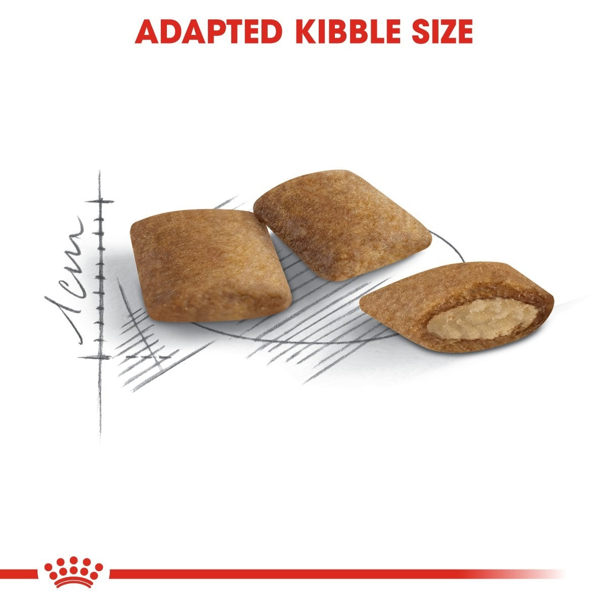 Adapted kibble size with a measurement scale on a white background, featuring Royal Canin logo.