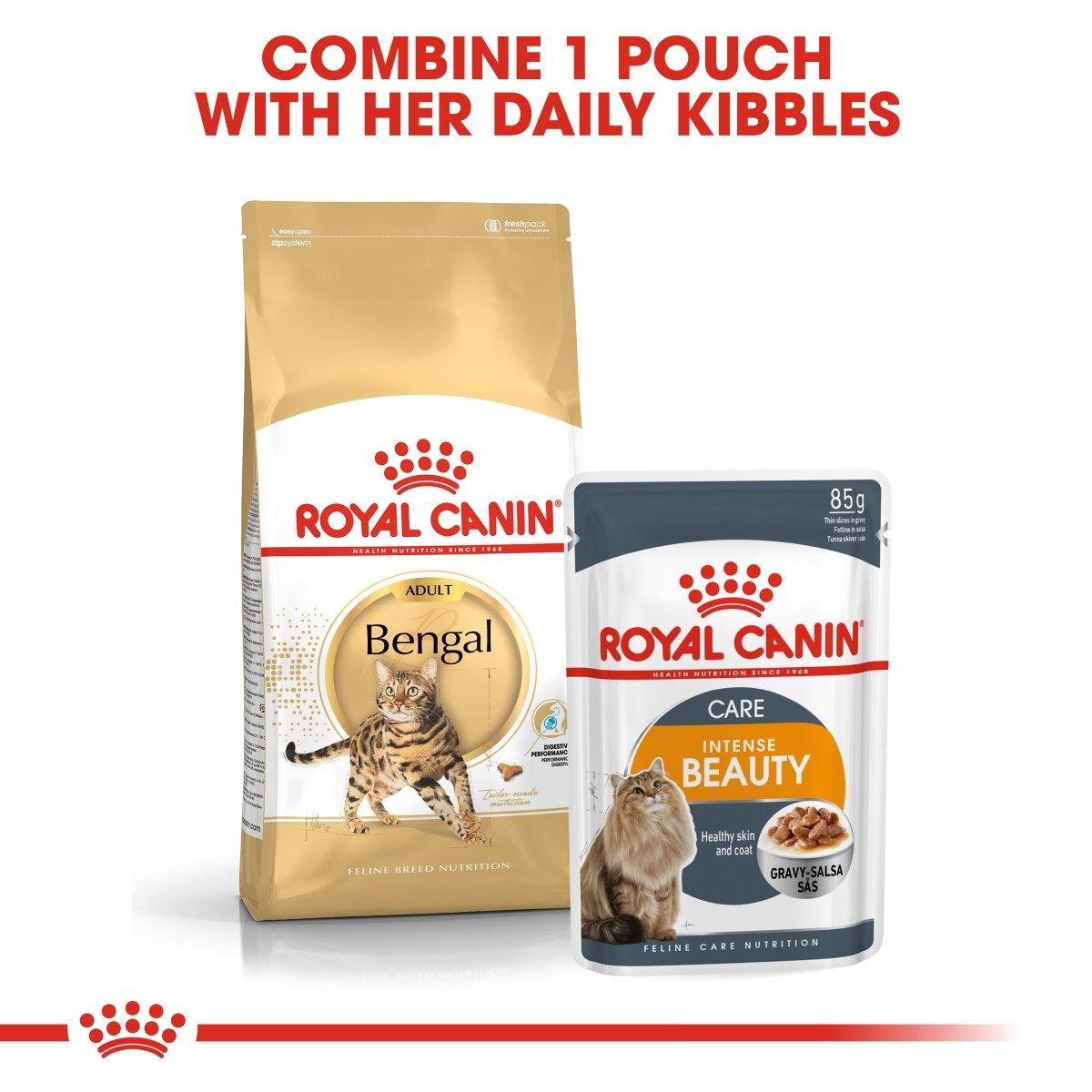 Two Royal Canin cat food packages on a white background with text.