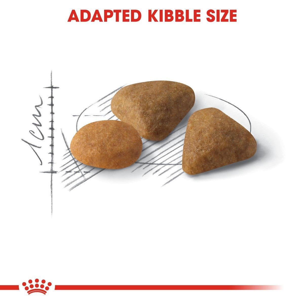 Three pieces of brown kibble on a white background with measurement scale and Royal Canin logo.