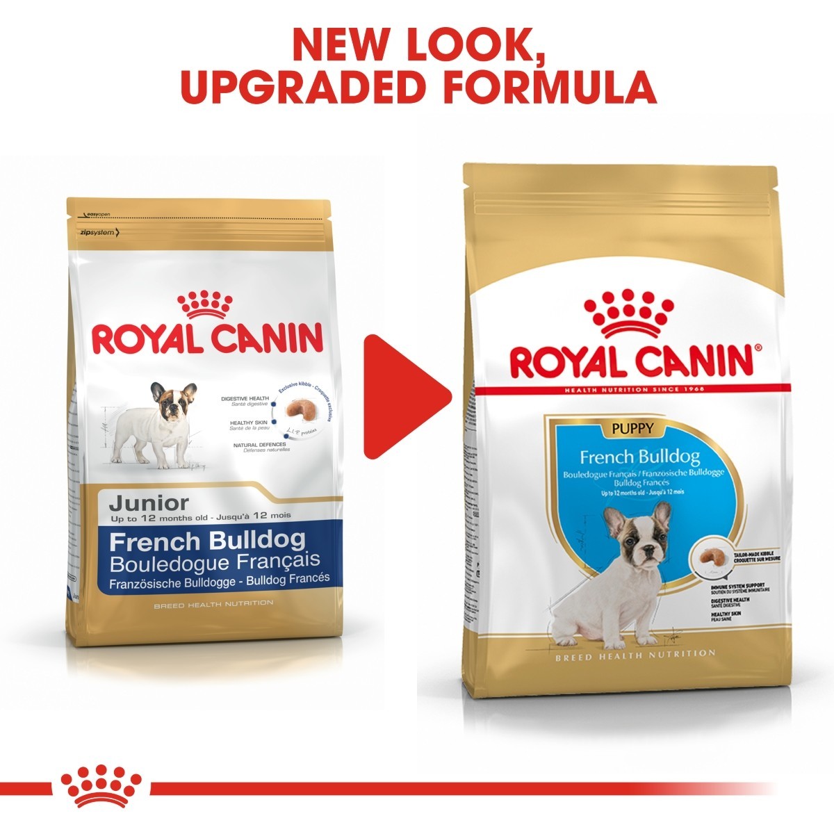 Two packages of Royal Canin French Bulldog puppy food with text indicating a new look and upgraded formula.
