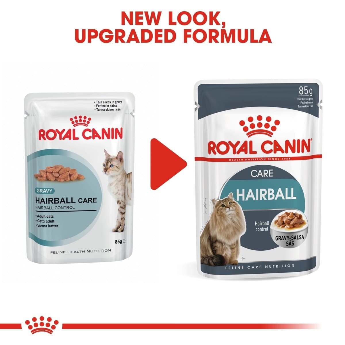 Two packages of Royal Canin Hairball Care cat food with a red arrow between them indicating a new look and upgraded formula.