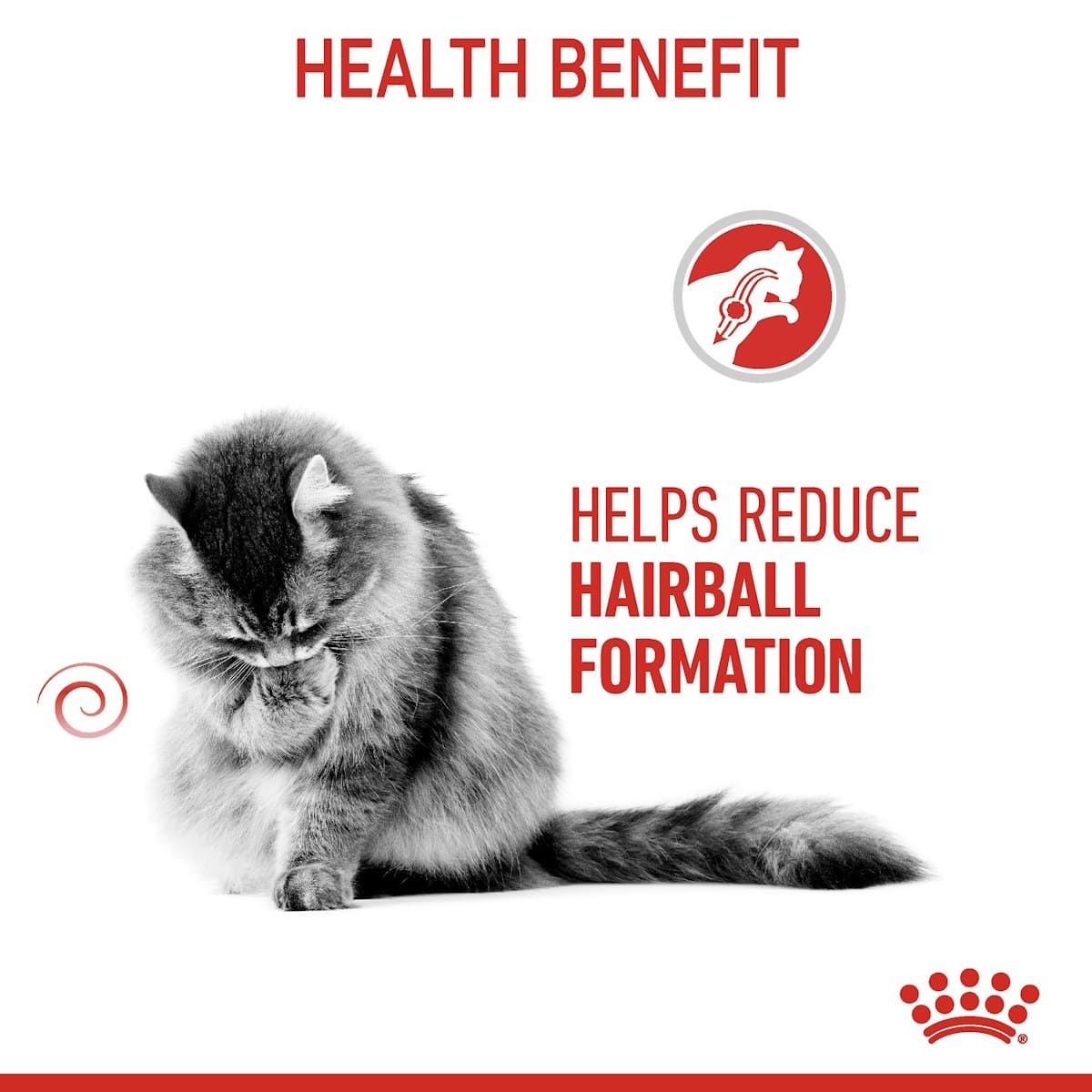 Cat with text 'Helps Reduce Hairball Formation' on a white background
