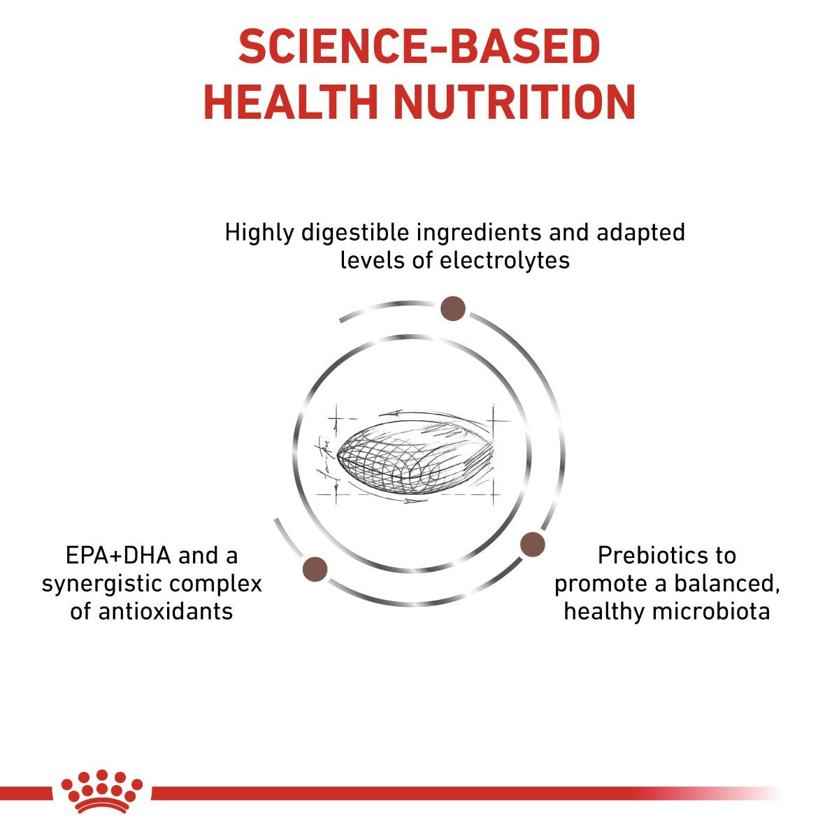 Diagram of science-based health nutrition with text and a diagram of a fish on a white background.