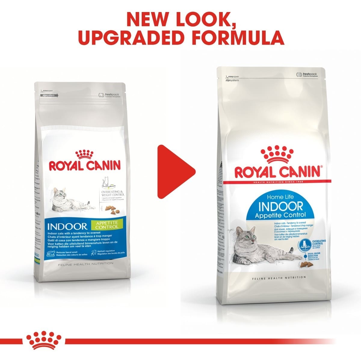 Two packages of Royal Canin Indoor cat food with a red play button graphic.