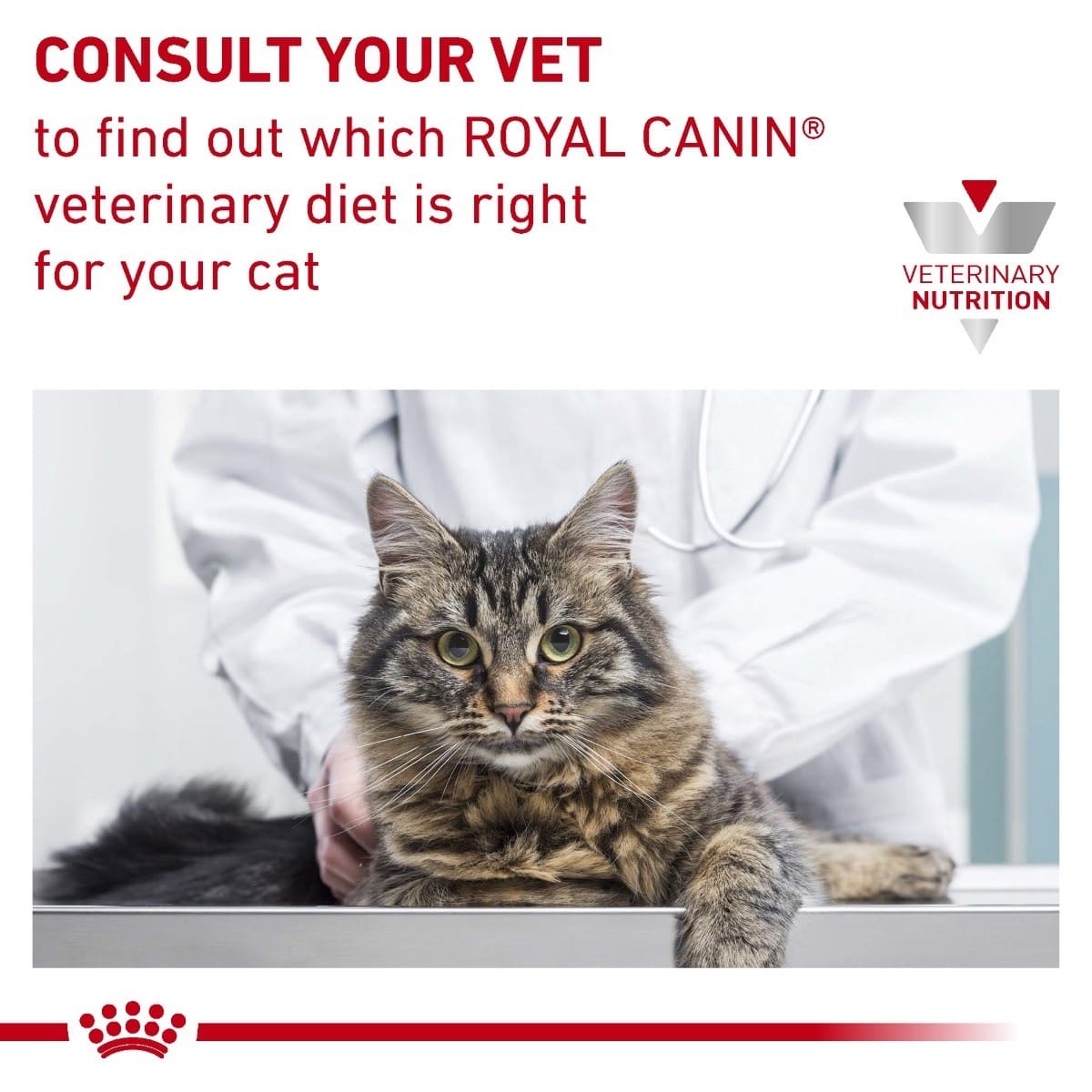 Cat being examined by a vet with Royal Canin Veterinary Diet text above