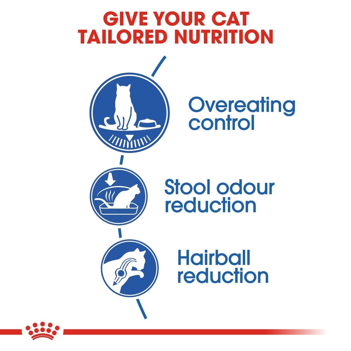 Diagram of cat nutrition benefits with icons and text on a white background