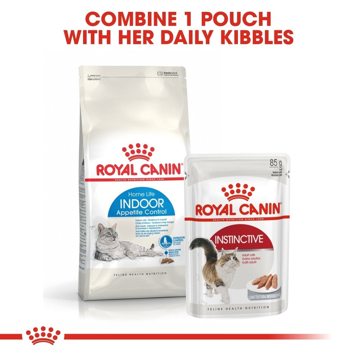 Two Royal Canin cat food packages on a white background with text.
