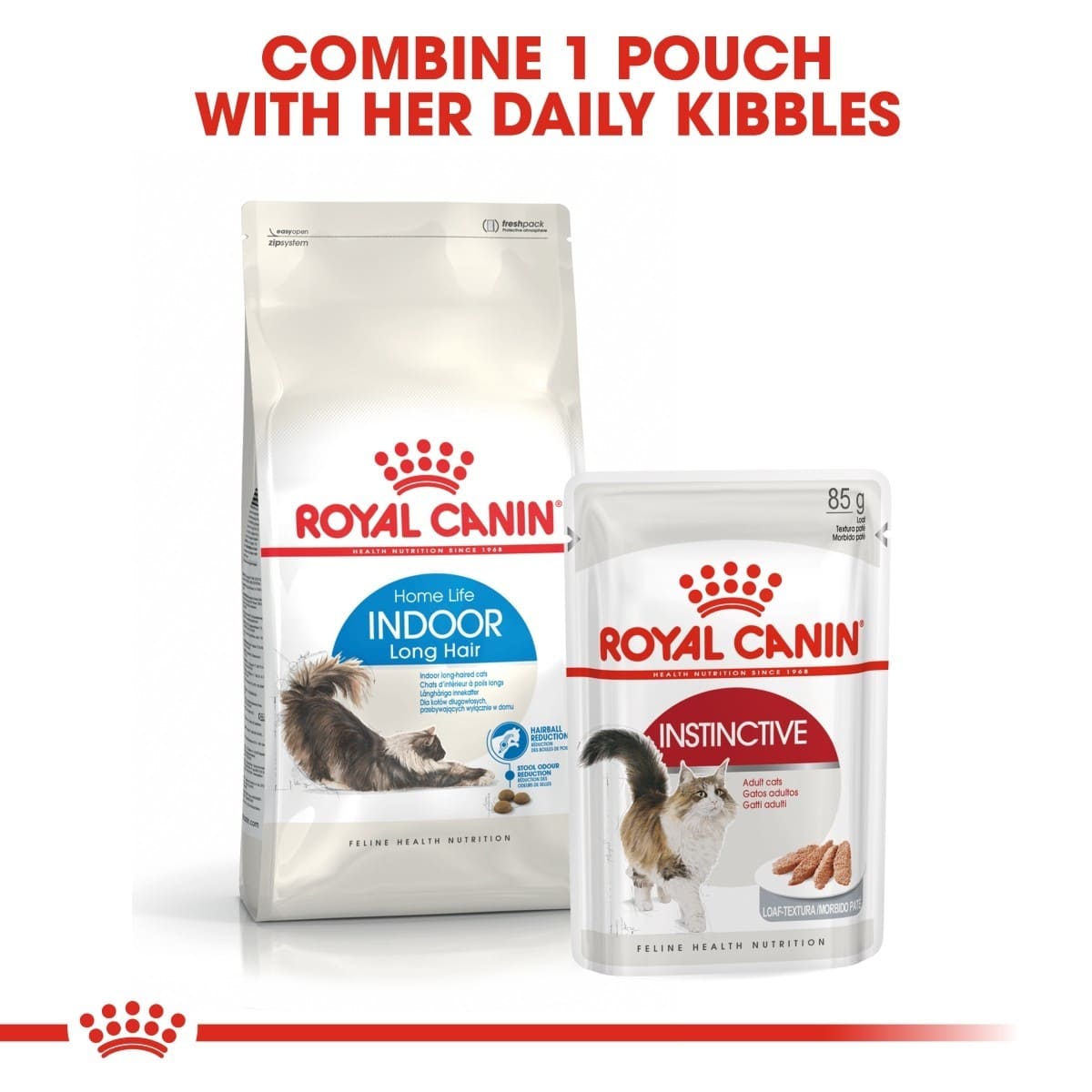 Two Royal Canin cat food packages on a white background with text.