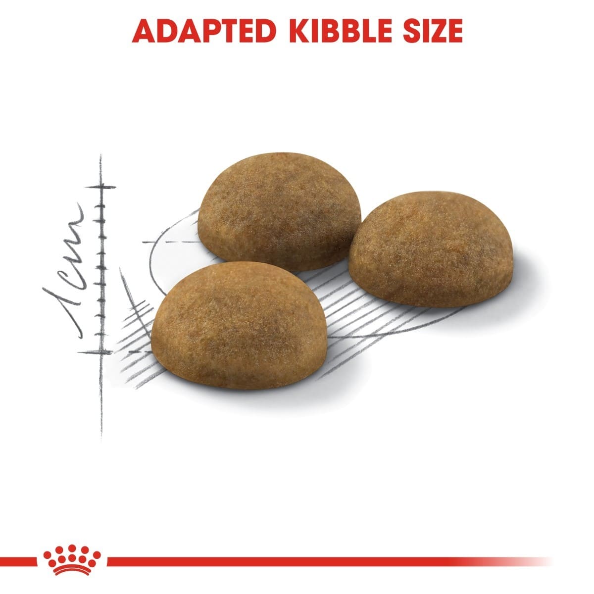 Three dog kibble pieces with a measuring scale and text indicating 'Adapted Kibble Size' on a white background.