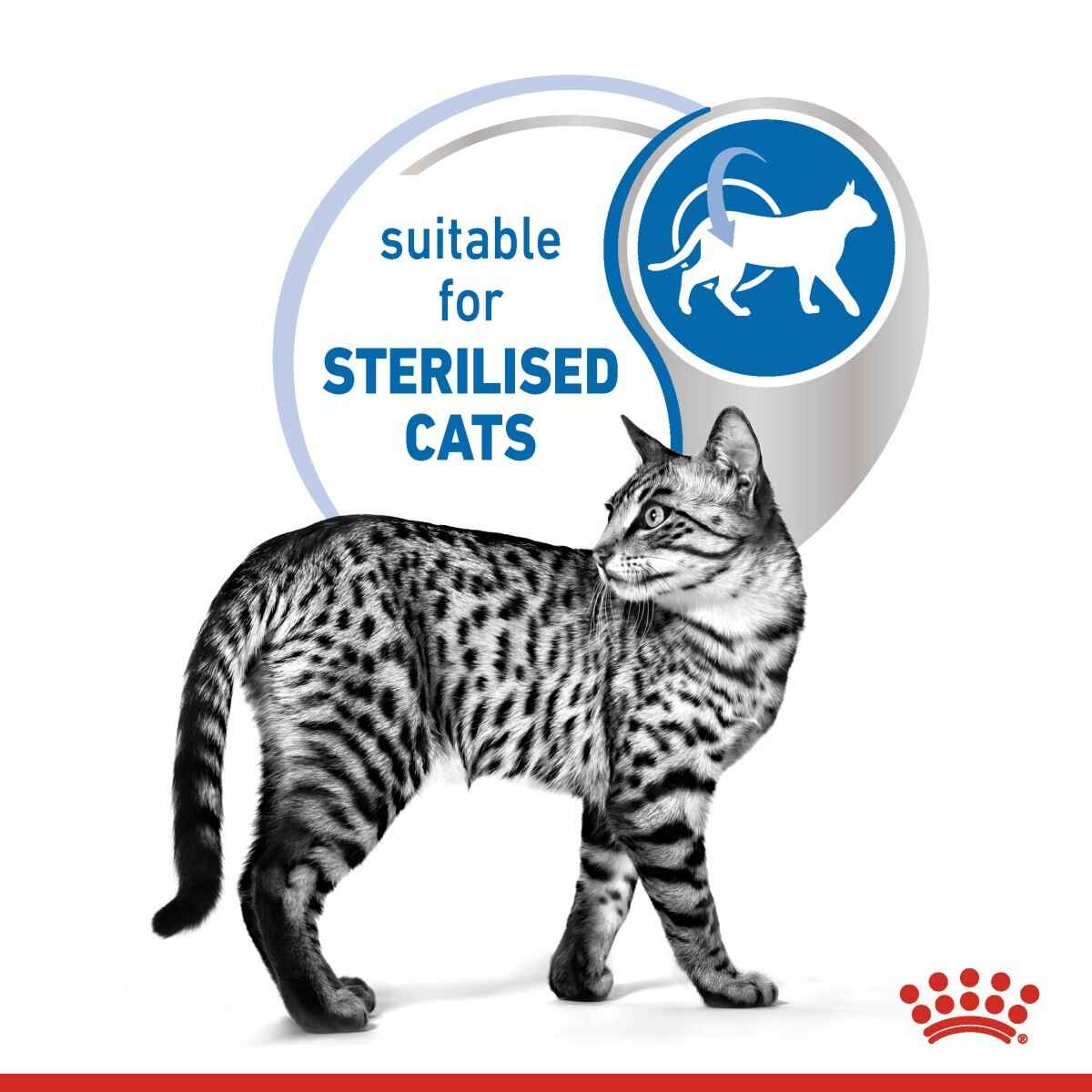 Cat with 'suitable for sterilised cats' label and Royal Canin logo